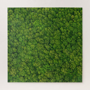 Aerial forest view, top view, copy space. jigsaw puzzle