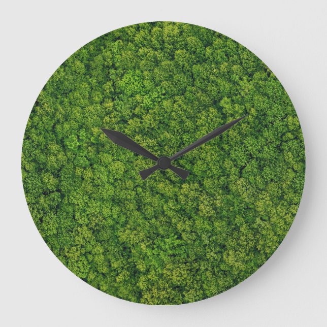 Aerial forest view, top view, copy space. large clock (Front)
