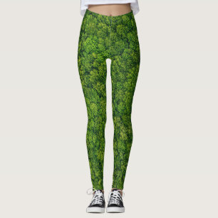 Aerial forest view, top view, copy space. leggings