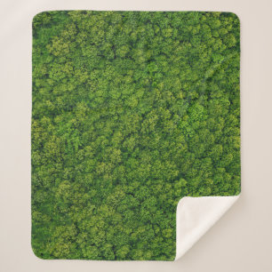 Aerial forest view, top view, copy space. sherpa blanket
