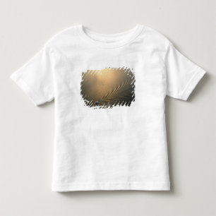 aerial image of boat in Lake Gatun Panama Toddler T-shirt