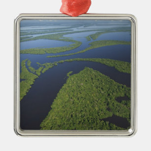 Aerial of Anavilhanas Archipelago, Flooded Metal Ornament