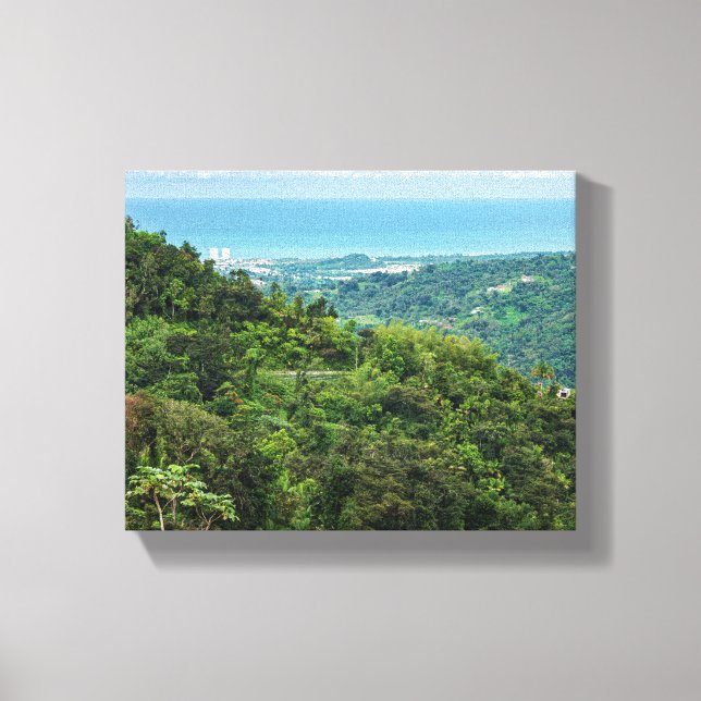 Aerial of coastal puerto rico at el yunque canvas print (Front)