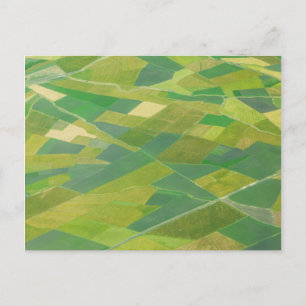 Aerial Of Farmlands In Ethiopia Postcard