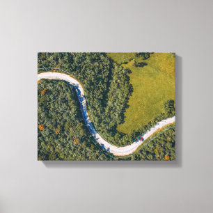 aerial photo of trees during daytime canvas print
