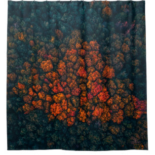 Aerial photography of forest