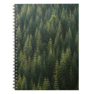 AERIAL PHOTOGRAPHY OF FOREST NOTEBOOK