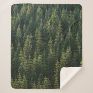 AERIAL PHOTOGRAPHY OF FOREST SHERPA BLANKET