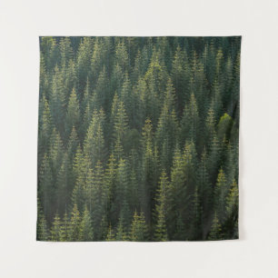 AERIAL PHOTOGRAPHY OF FOREST TAPESTRY