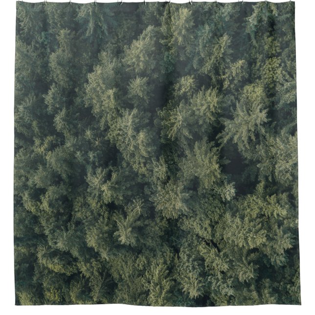 Aerial photography of green trees (Front)