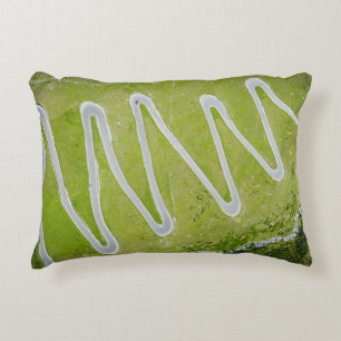 AERIAL PHOTOGRAPHY OF ROAD ACCENT PILLOW