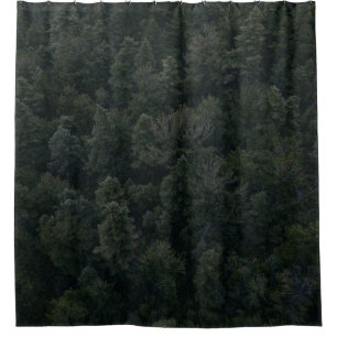 Aerial photography of trees