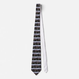 Aerial Pittsburgh Skyline at sunset Tie
