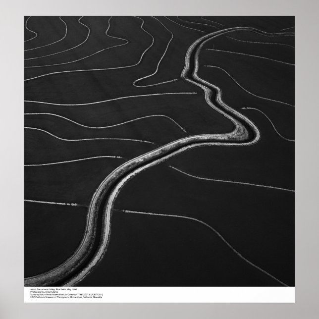 Aerial, Sacramento Valley, Rice fields May, 1966 Poster (Front)