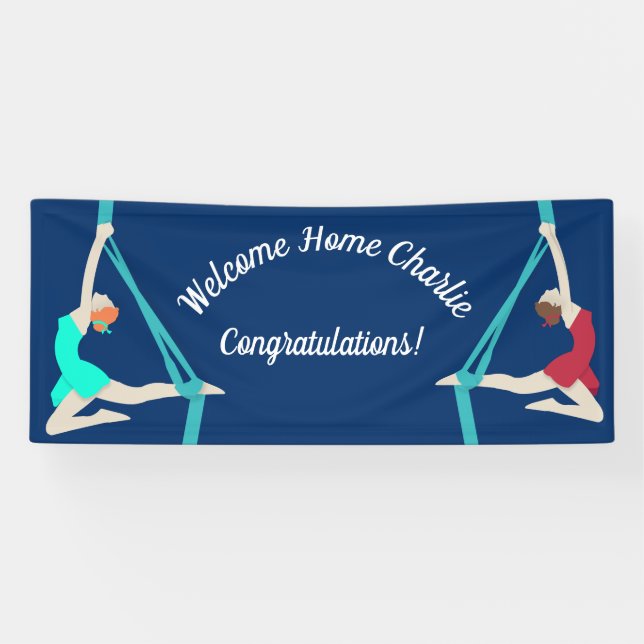 Aerial Silks Banner (Horizontal)