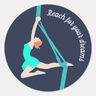 Aerial Silks Classic Round Sticker