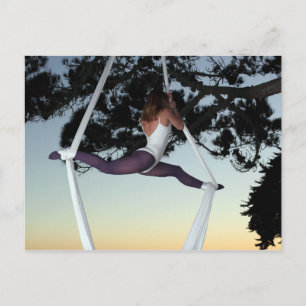 Aerial Silks Postcard