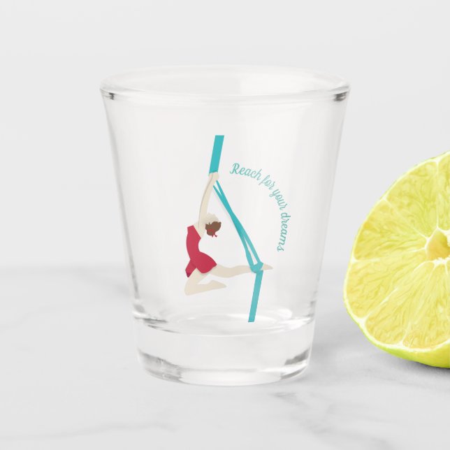Aerial Silks Shot Glass (Front)
