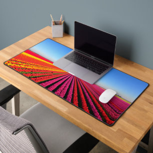 Aerial Tulip Fields at Peak Bloom Desk Mat