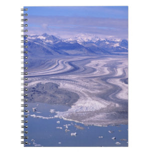 Aerial view Lowell Glacier, Kluane National Notebook