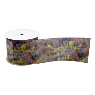  Aerial View of Autumn forest Colourful Trees      Satin Ribbon