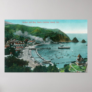 Aerial View of Avalon and Bay Poster