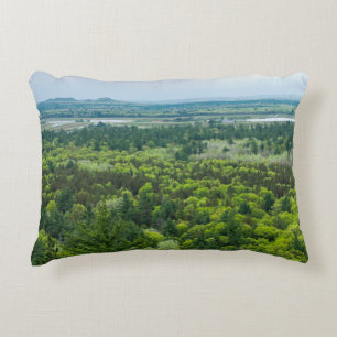 Aerial View of Black River State Forest Accent Pillow