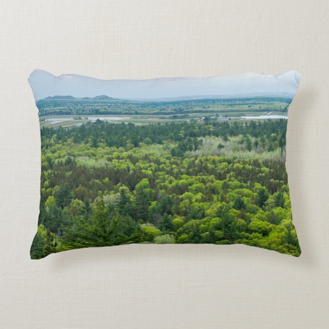 Aerial View of Black River State Forest Accent Pillow (Front)
