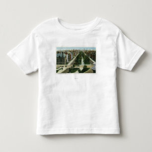 Aerial View of Commonwealth Avenue Toddler T-shirt