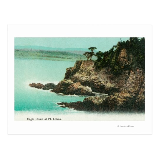 Aerial View of Eagle Dome at Point Lobos Postcard