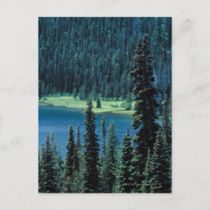 Aerial view of Grand Teton National Park , Postcard