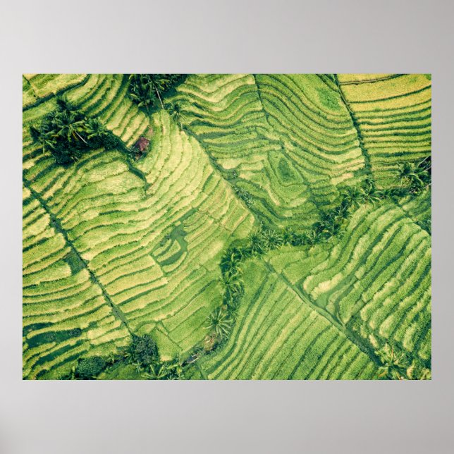 Aerial view of green field poster (Front)