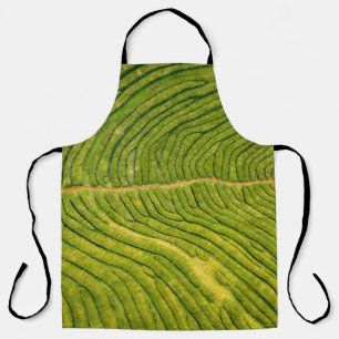 Aerial view of green open field apron