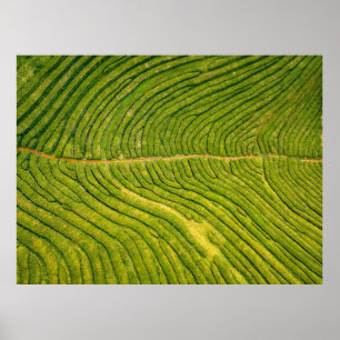 Aerial view of green open field poster