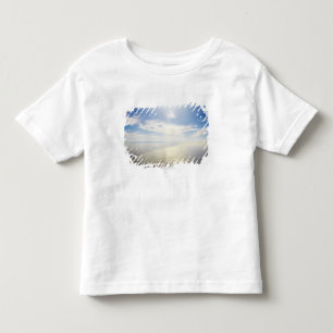 Aerial view of Long Beach, California Toddler T-shirt