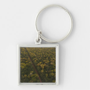 Aerial View of rainforest. Iwokrama Reserve, 2 Keychain