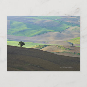 Aerial View of Rural Landscape near Ronda, Postcard