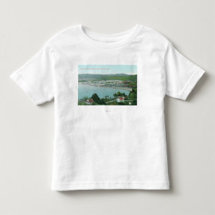 Aerial View of Sulphur Banks Quicksilver Mine Toddler T-shirt