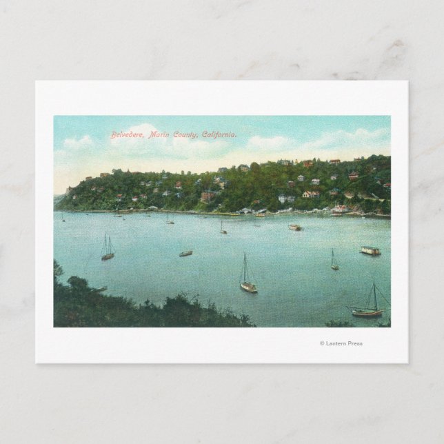 Aerial View of the BayBelvedere, CA Postcard (Front)
