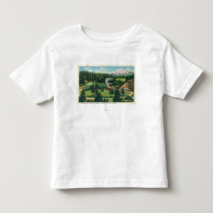 Aerial View of the Cantara Loop, Sacramento Toddler T-shirt