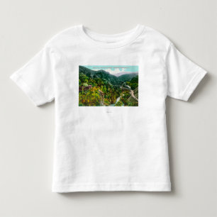 Aerial View of the Canyon, Southern Pacific Trai Toddler T-shirt