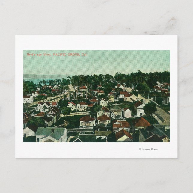 Aerial View of the City 4 Postcard (Front)