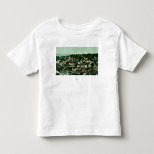 Aerial View of the City 4 Toddler T-shirt