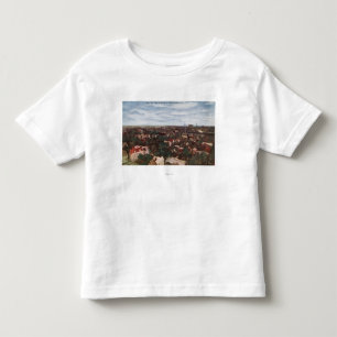 Aerial View of the City Toddler T-shirt