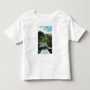 Aerial View of the Electron Power Station Toddler T-shirt