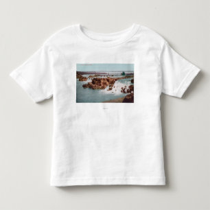 Aerial View of the Falls and Bridge Toddler T-shirt