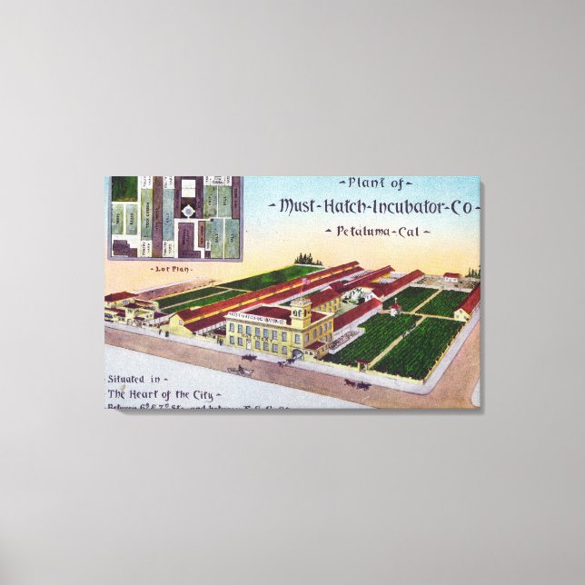 Aerial View of the Must-Hatch Incubator Co Bldg Canvas Print (Front)