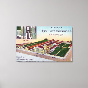 Aerial View of the Must-Hatch Incubator Co Bldg Canvas Print