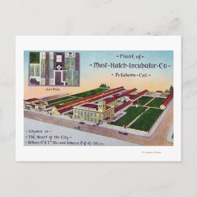 Aerial View of the Must-Hatch Incubator Co Bldg Postcard (Front)
