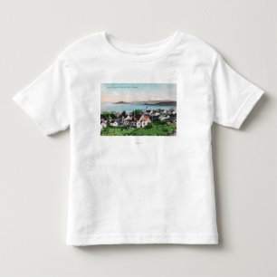 Aerial View of the Town and Lake Ewauna Toddler T-shirt